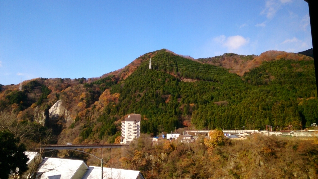 初冬の鬼怒川_d0116059_21291606.jpg