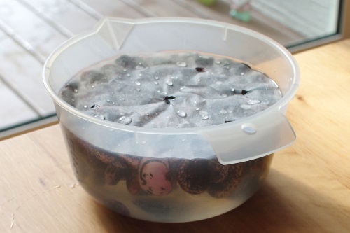 花豆煮（重曹ちょっぴり使って皮やわらかく）_c0110869_120432.jpg