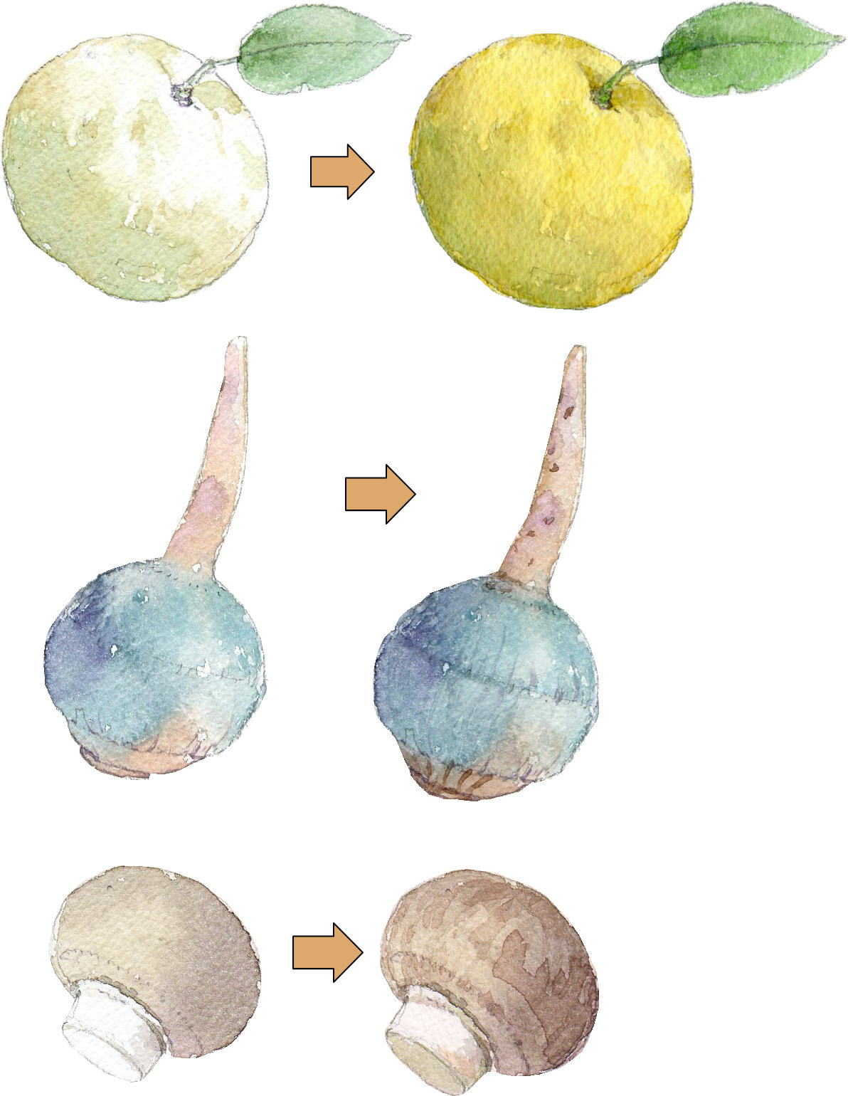透明水彩を簡単に楽しむ 福井良佑の水彩画 Watercolor Terrace