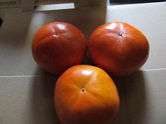 b0162372_20265487.jpg