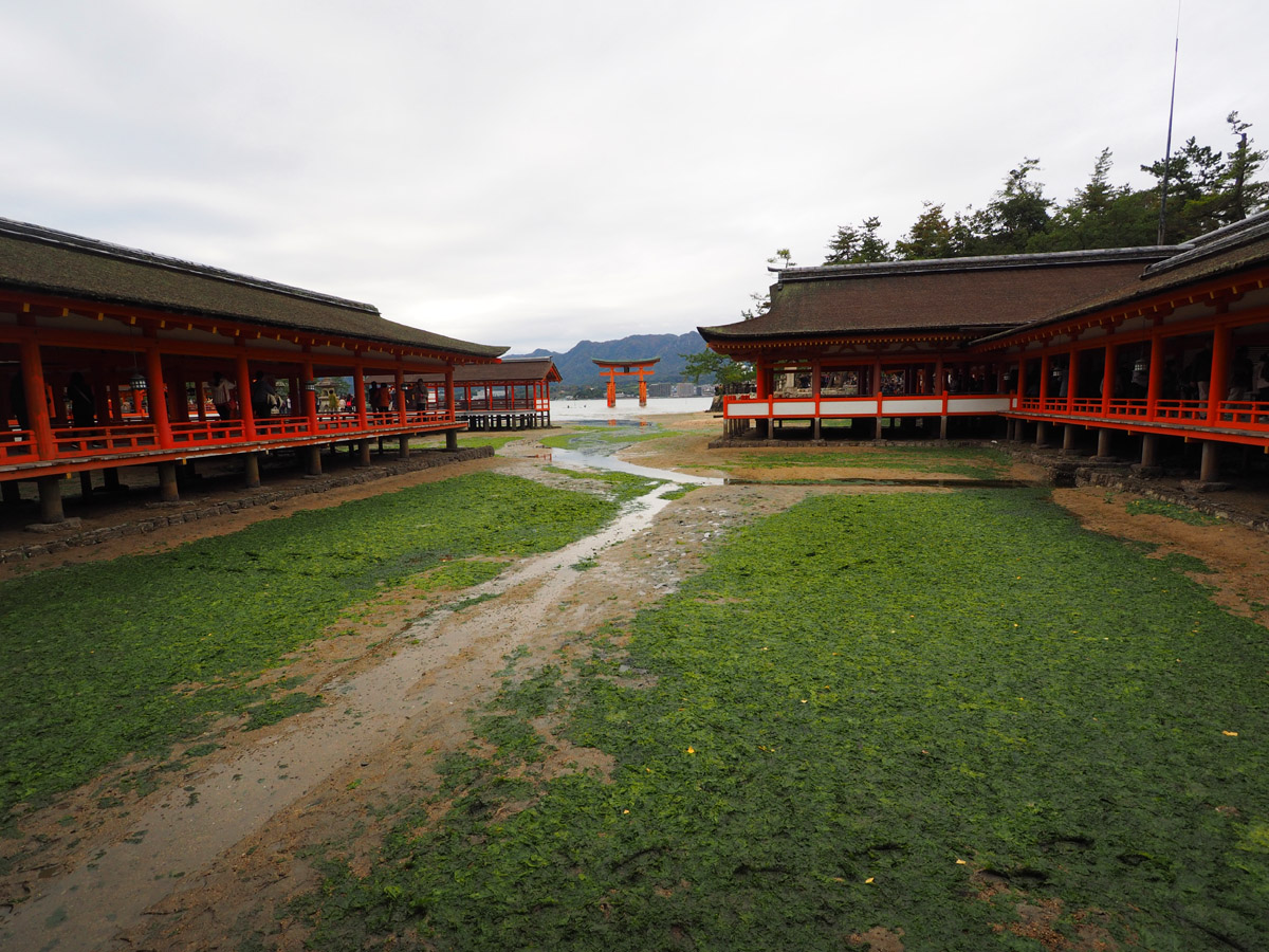 安芸の宮島・厳島神社_d0283373_1934922.jpg