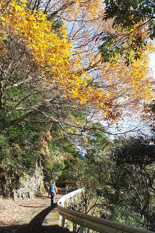 c0359075_20152800.jpg