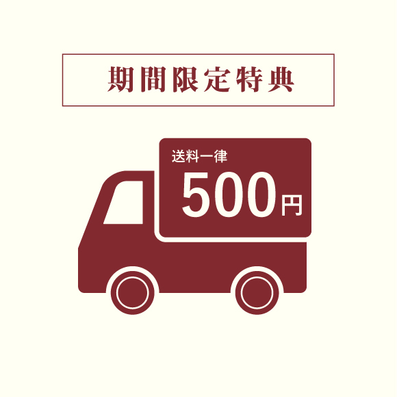 送料500円