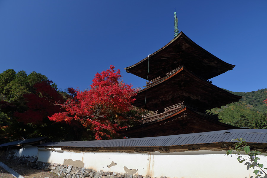 16.11.12：紅葉の清滝寺徳源院３－完_c0007190_193317.jpg