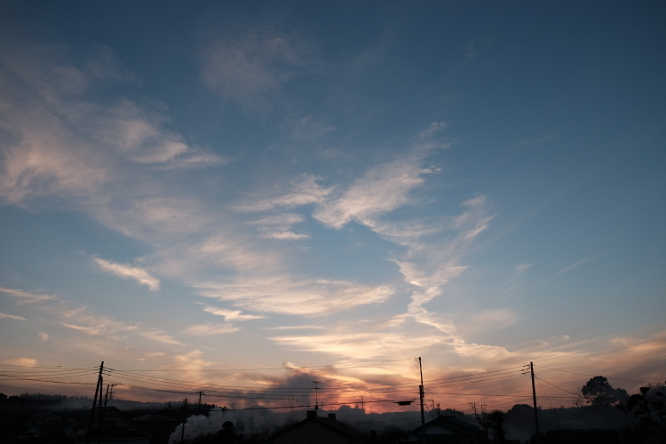 d0021491_20181511.jpg