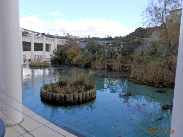 c0149195_2231941.jpg
