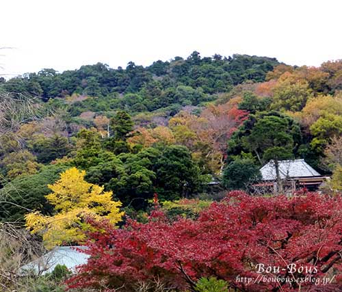 秋の鎌倉〜東慶寺・浄智寺_d0128697_17315.jpg