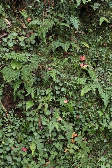 e0209997_11064831.jpg