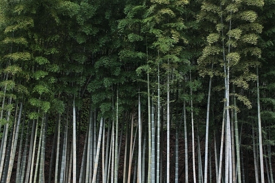 e0209997_11073656.jpg