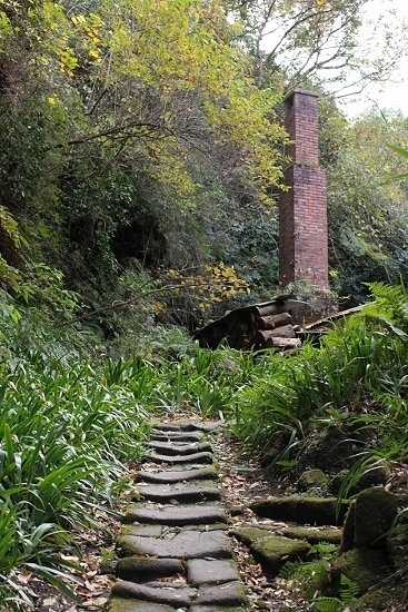 e0209997_11084409.jpg