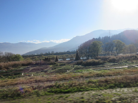 a0203003_2165033.jpg