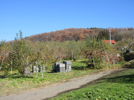 a0203003_2173393.jpg