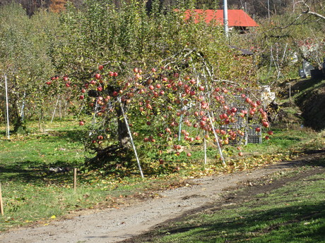 a0203003_2182523.jpg