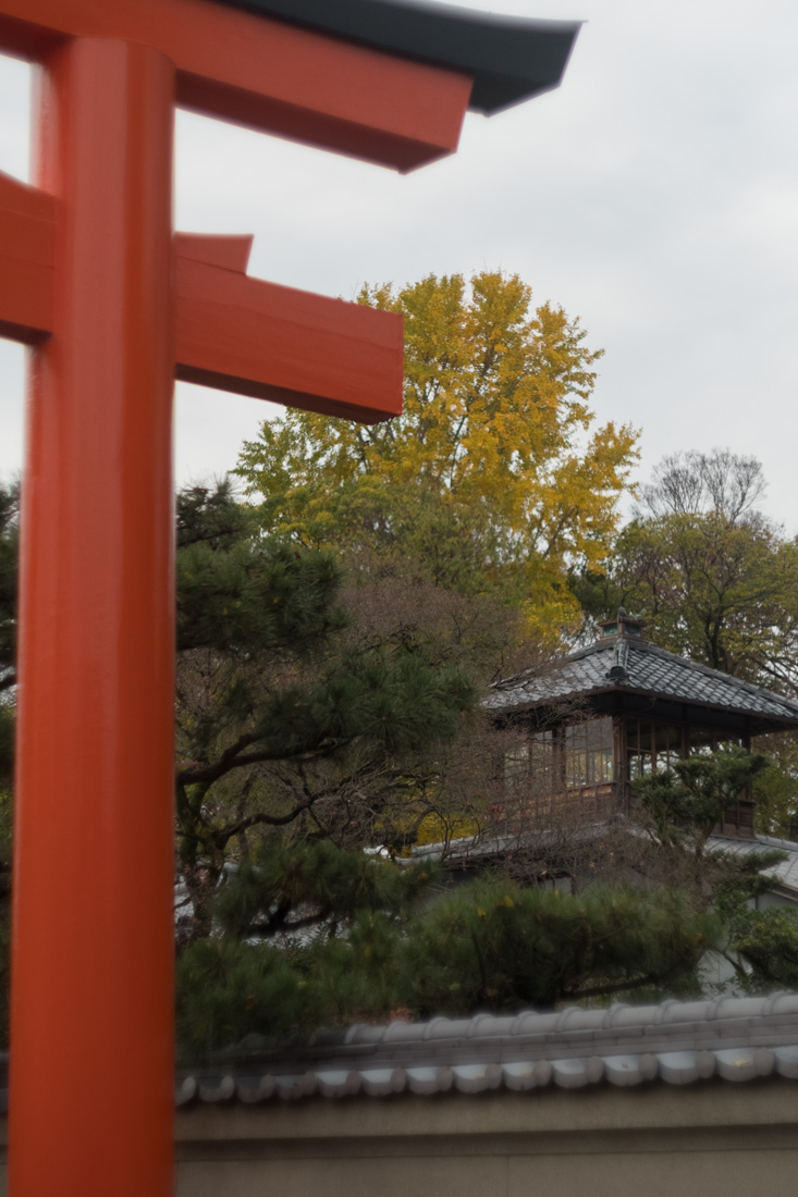 京都・紅葉 (2016年)  (4)_b0221605_19491410.jpg