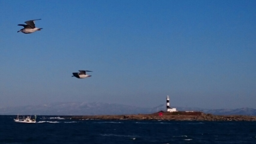 d0149105_9392832.jpg