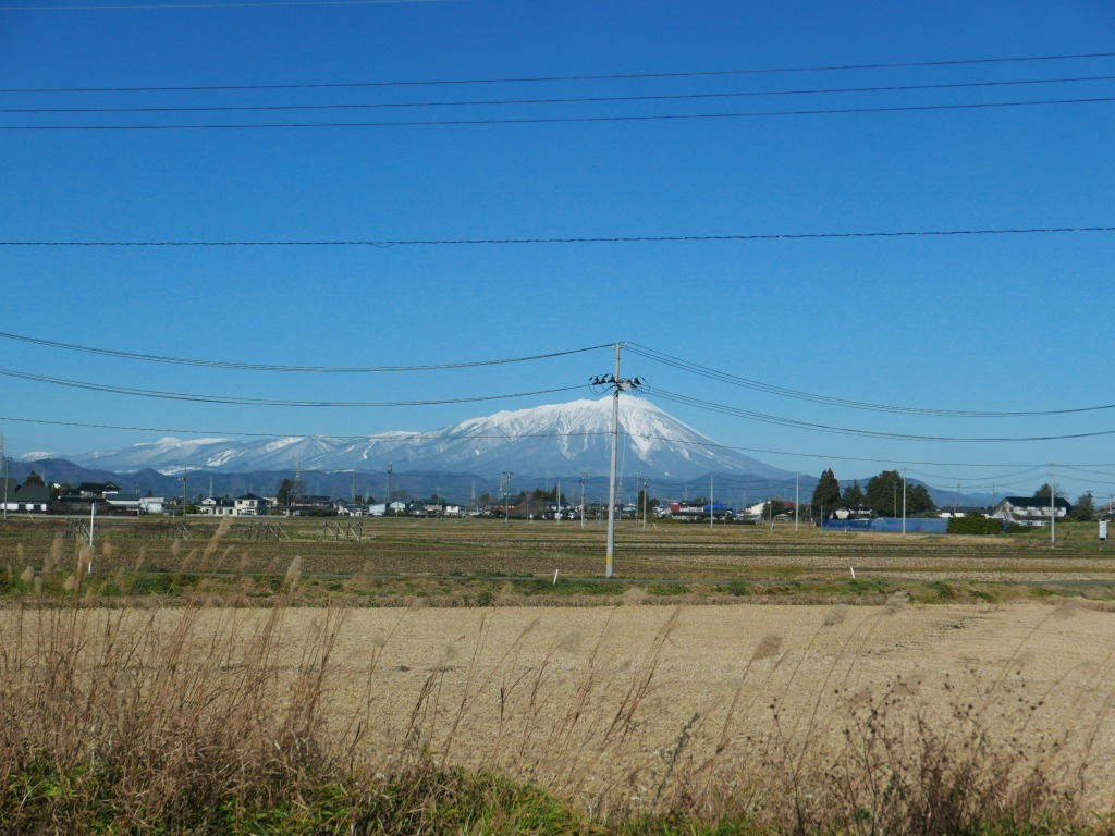f0138305_20495166.jpg