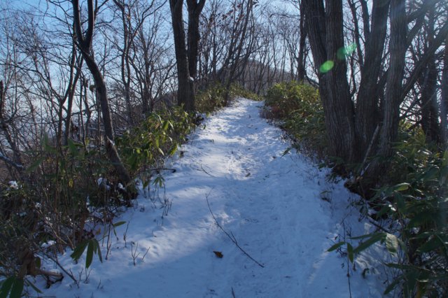 a0345007_2001964.jpg