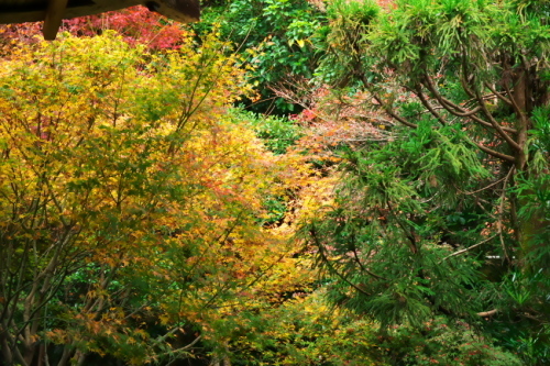 a0263109_21282991.jpg