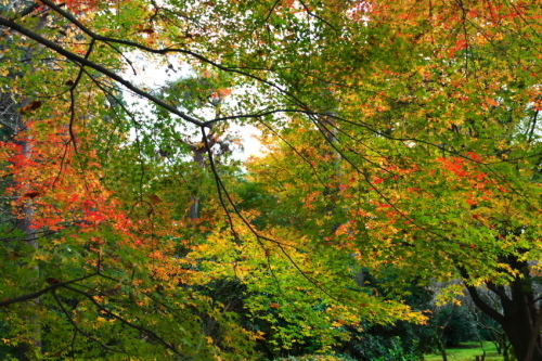 a0263109_21304553.jpg