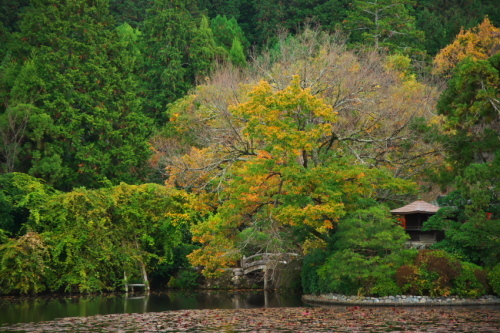 a0263109_21365008.jpg