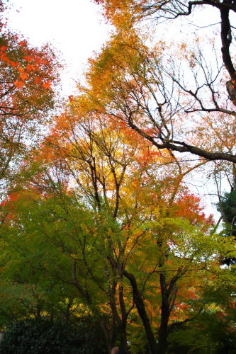 a0263109_21365098.jpg