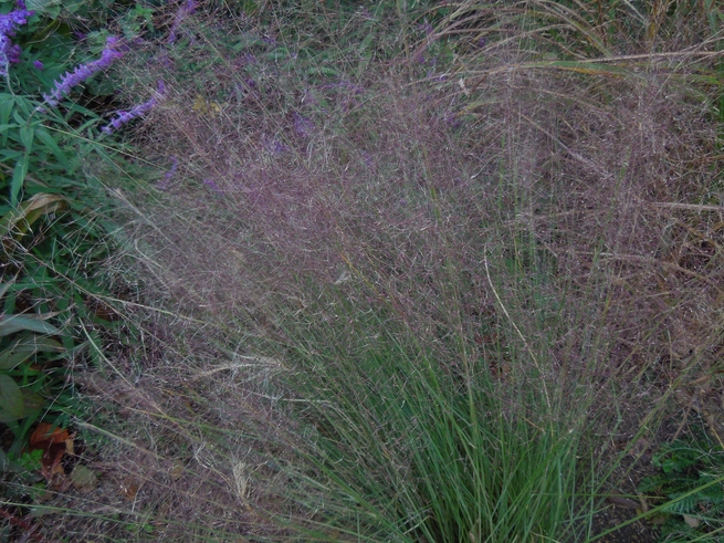 f0297809_2033265.jpg