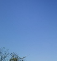b0159210_16114589.jpg