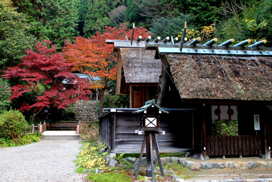 紅葉探訪25 紅葉終了 _e0048413_21133750.jpg