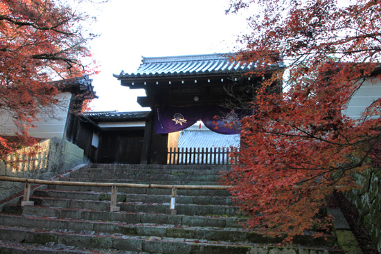 紅葉探訪25 紅葉終了 _e0048413_2113779.jpg