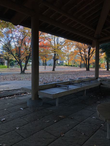 我が愛犬びすけと都立東大和南公園をお散歩 平成28年12月1日金曜日晴天_c0156021_20090085.jpg