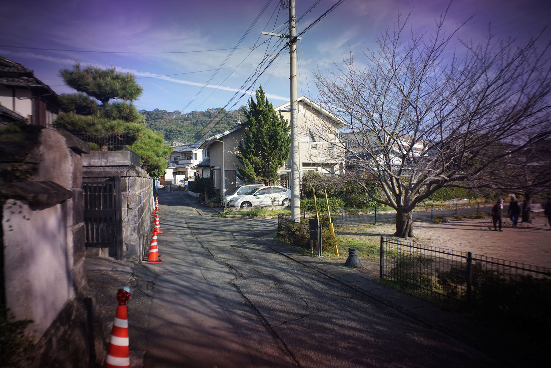 d0032222_9135100.jpg