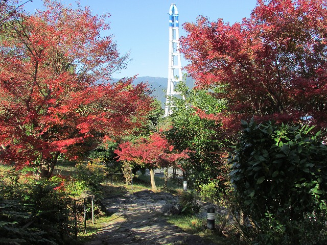 e0321325_1014514.jpg