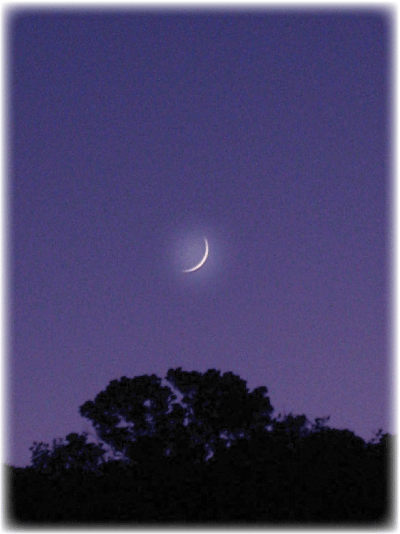 c0107829_12401161.gif