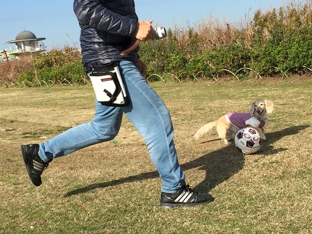 c0117831_17294635.jpg