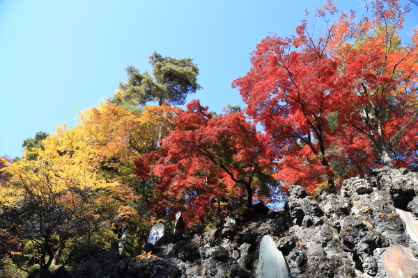 f0229832_09032018.jpg