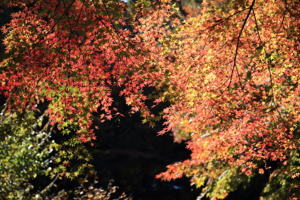 f0229832_09145239.jpg