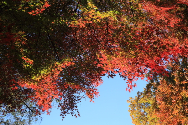 f0229832_09152213.jpg