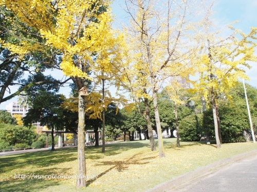a0344633_21094848.jpg