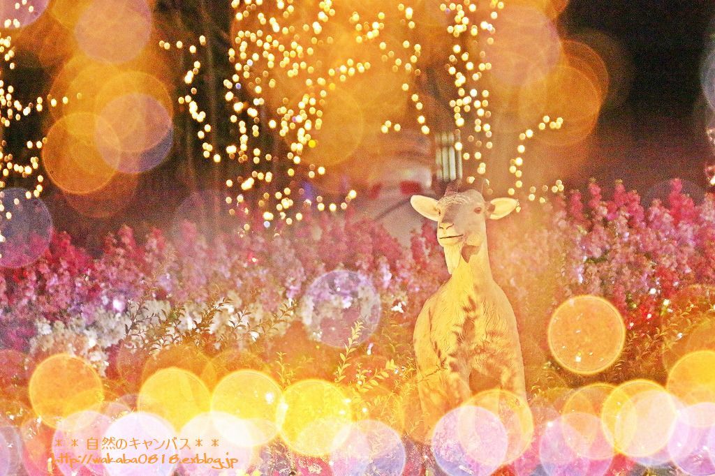 スカイツリ－広場のイルミを多重露光で表現(^^♪_e0052135_16373030.jpg