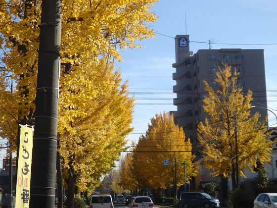 a0054240_2317264.jpg