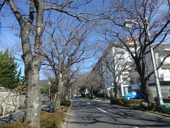 a0054240_2342575.jpg