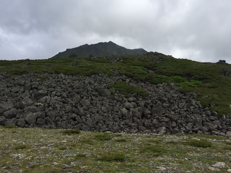 b0187142_22374968.jpg