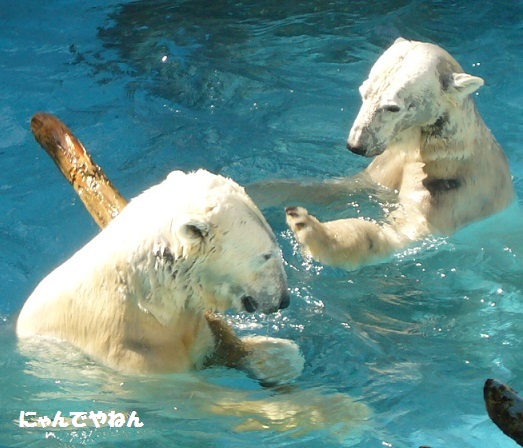 ゴ~ゴ_f0002743_19384827.jpg