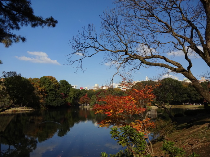 紅葉狩り『六義園』_c0071545_12352484.jpg