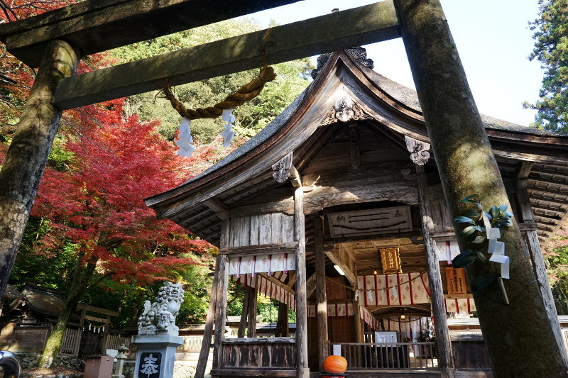 岐阜の旅(7)大矢田神社_a0154448_18071541.jpg