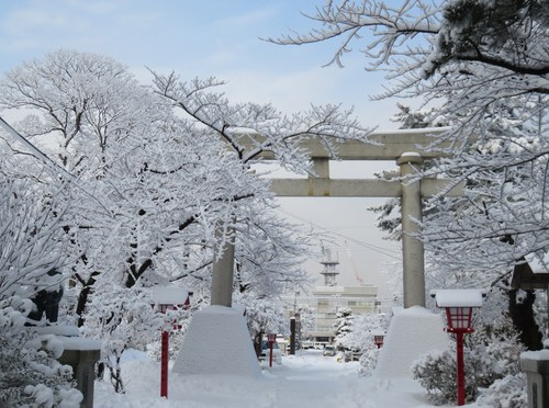 12月の土曜日　初宮詣りが続きました_b0238249_17543925.jpg