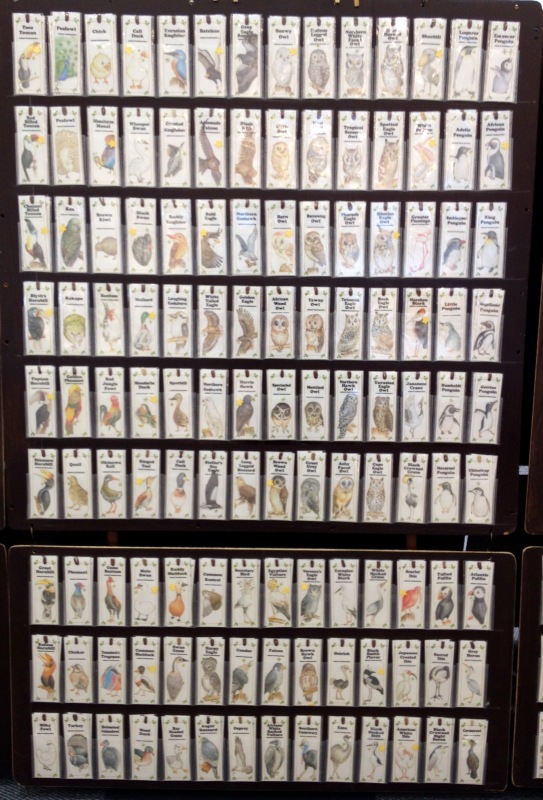 ふじいまさゆき 動物イラストショップ Open Musee De M ふじいまさゆき 動物イラストショップ Open Musee De M