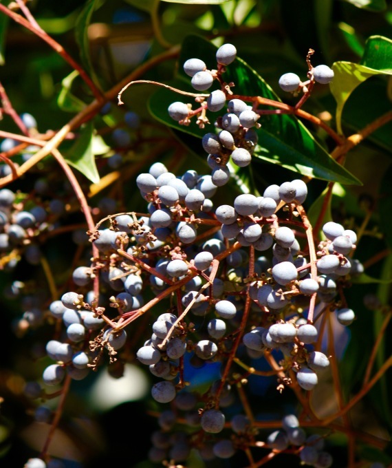 a0248459_13445436.jpg
