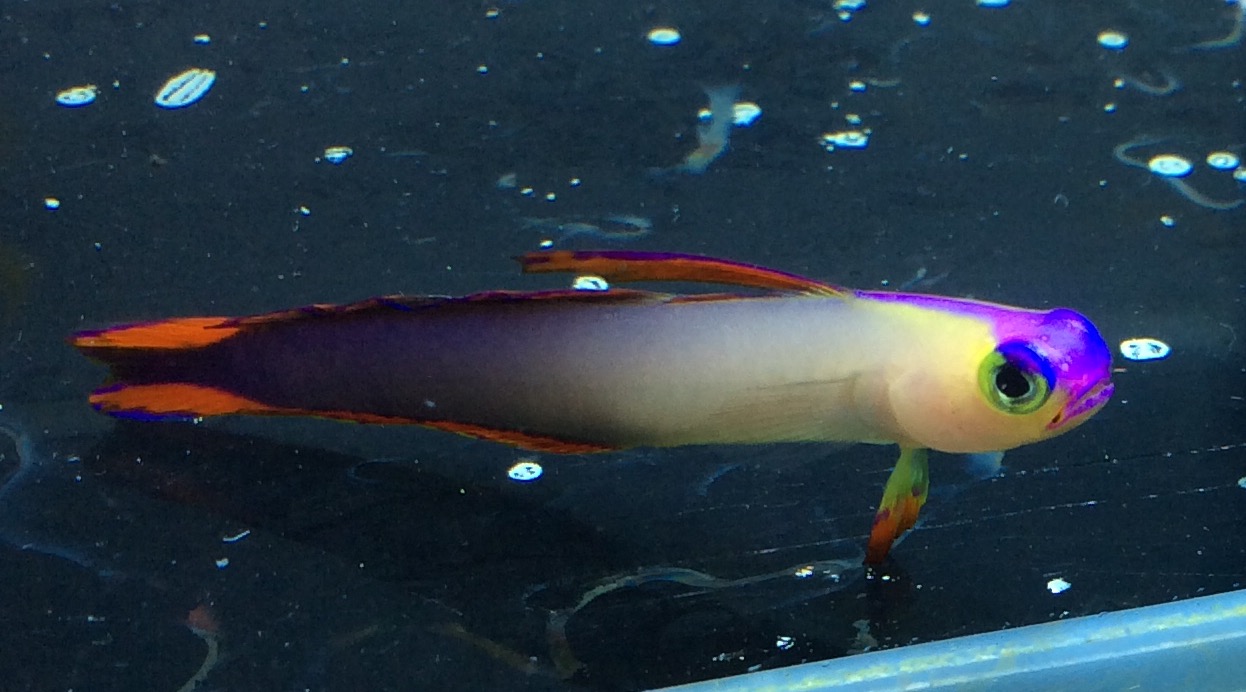 a0162261_1059916.jpg