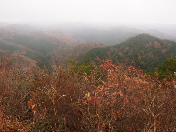 c0321967_08514845.jpg